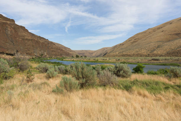 istock Cottowood Canyon State Park 1138328497