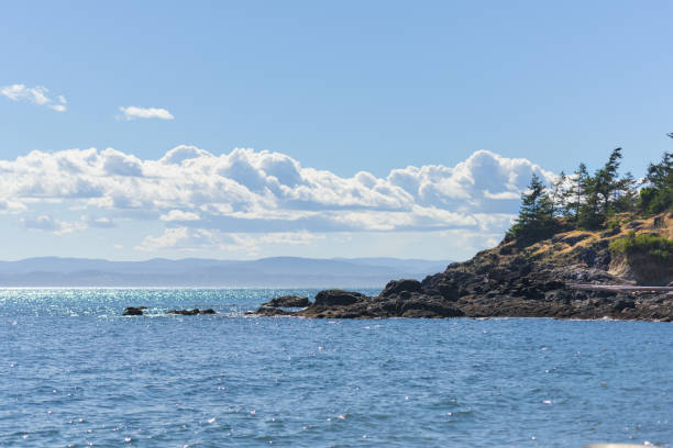 istock San Juan island landscape. 1138328596