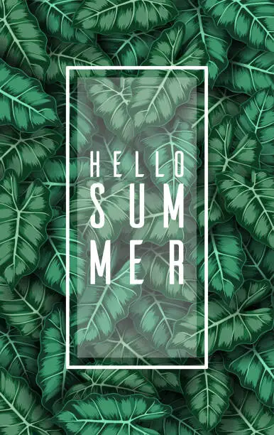 Vector illustration of Hello summer with Caladium leaves green