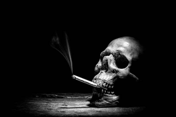 istock Still Life with Skull and clay pot,earthenware background 1138329696