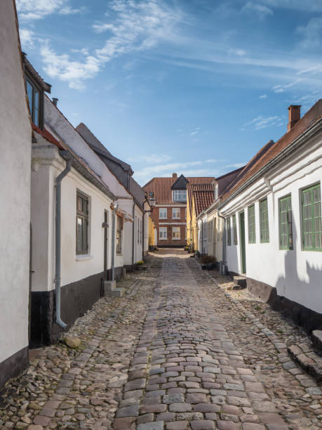 istock Cobbled streets in the old medieval city Ribe, Denmark 1138329935