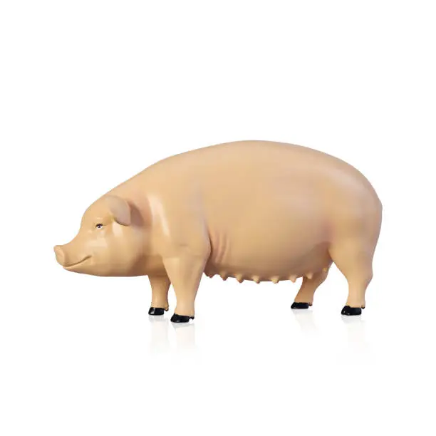 Photo of toy pig