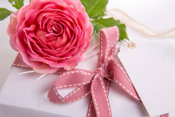 Beautiful Pink rose, gift box with ribbon on white background. Overhead top view, flat lay. Copy space. Birthday, Mother's, Valentines, Women's, Wedding Day concept. Greeting card