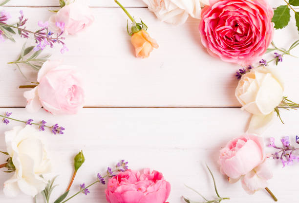 istock Festive flower composition on the white wooden background. Overhead view 1138332749