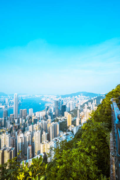 istock Overlooking the whole city from Victoria Peak 1138333336