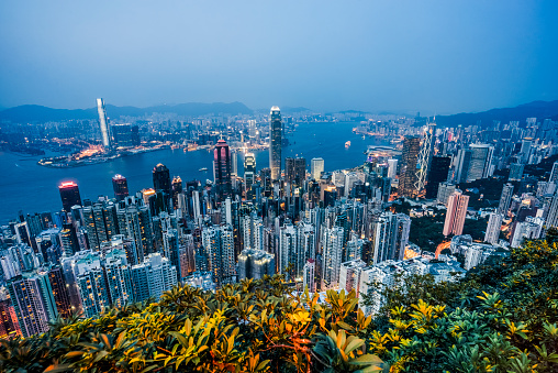 Victoria Peak, Hong Kong, Hong Kong - April 26 2023 : High-rise skyscrapers consisting of residential apartments and business offices are set between the lush green peaks and harbour.