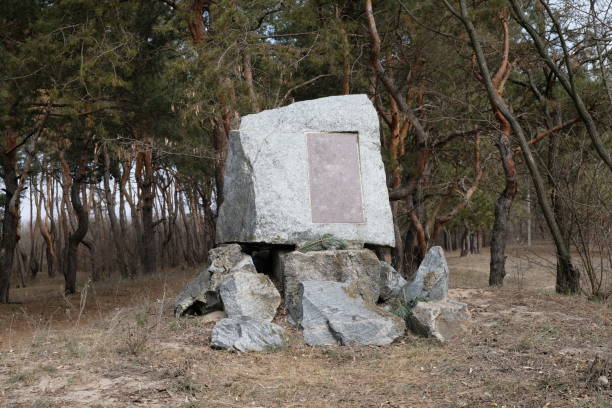 istock stones of granite in the forest on the sand. 1138334586