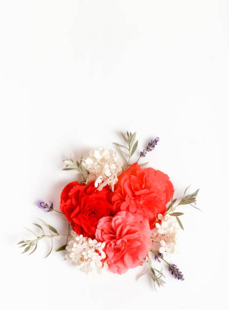 istock Festive flower composition on the white wooden background. Overhead view 1138341076