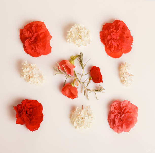 istock Festive flower composition on the white wooden background. Overhead view 1138341083