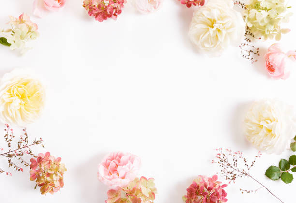 istock Festive flower composition on the white background. Overhead view 1138341129