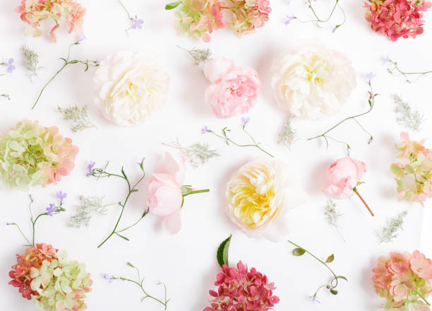 istock Festive flower composition on the white background. Overhead view 1138341140
