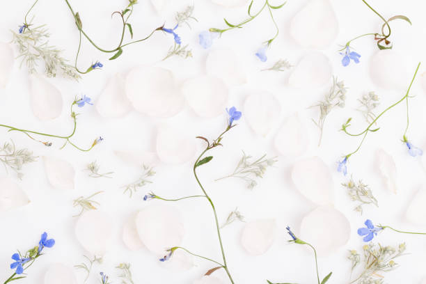 istock Festive flower composition on the white wooden background. Overhead view 1138341161