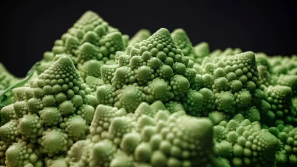 Photo of Brassica oleracea, Romanesco broccoli also known as Roman cauliflower, selective focus