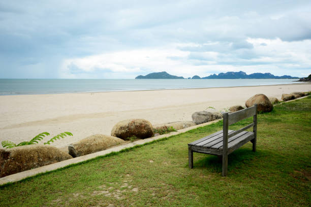 istock Empty wooden bench on the beach, looking into the wide and endless sea. 1138343486