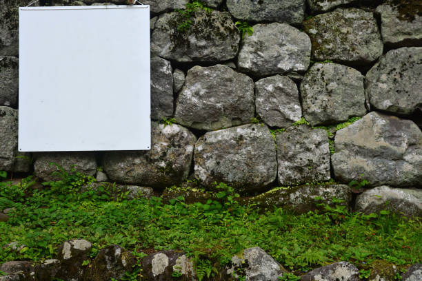 istock Old stone wall with ivy as background with white Banner and copy space for your text. 1138343505