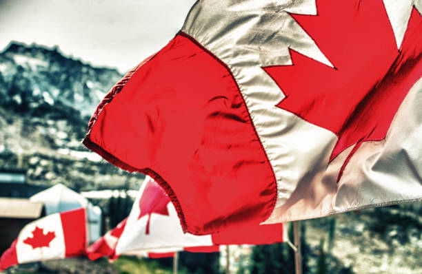 istock Canada flags waving at the wind in mountain scenario 1138346887