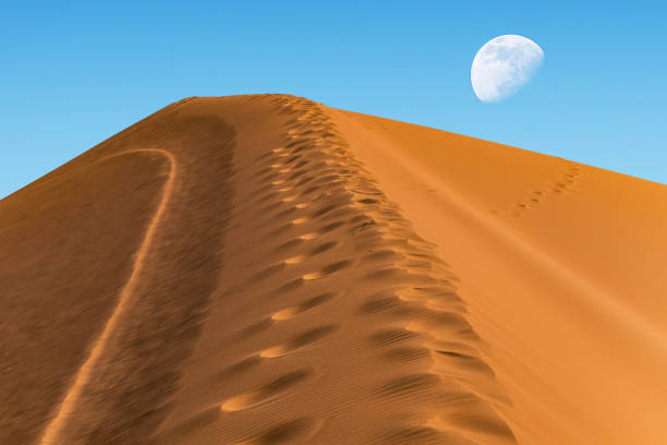 huge sand dune on the background of the sky with a moon on the horizon huge sand dune on the background of the sky with a moon on the horizon tunisia sahara douz stock pictures, royalty-free photos & images