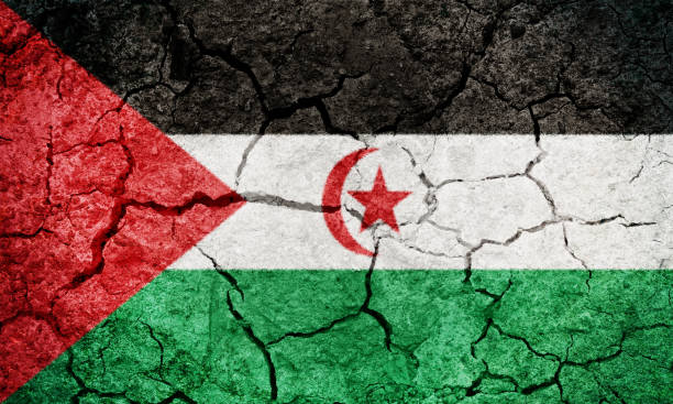 istock Sahrawi Arab Democratic Republic flag 1138352115
