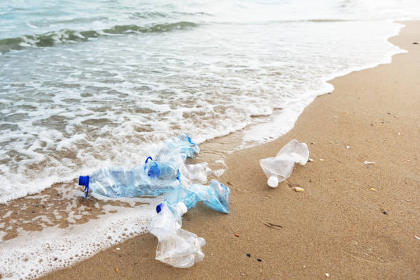 istock several empty plastic bottles lying on the seashore near the water, the concept of environmental safety 1138352400