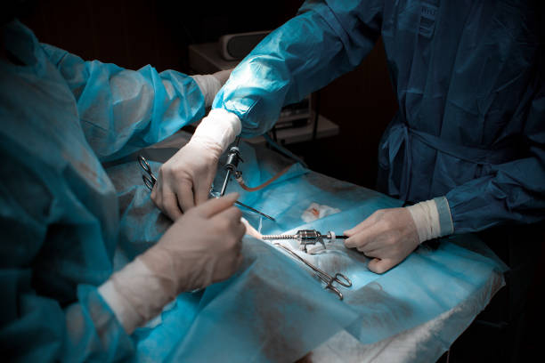 닥터는 국내 개를 살 균 하는 수술을 수행 합니다. 동물의 거세. 수의학 클리닉의 운영 테이블 - acupuncture needle 뉴스 사진 이미지