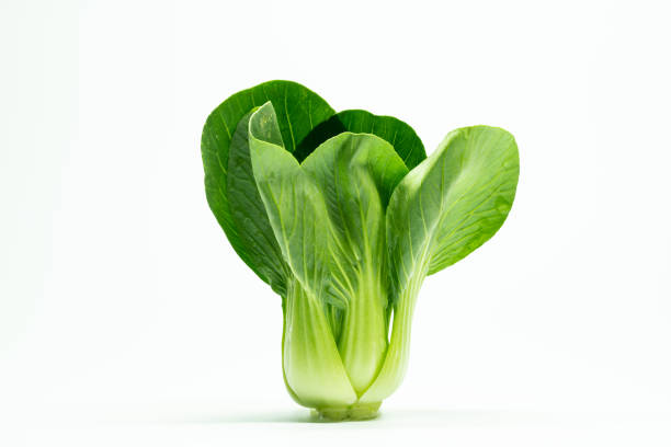 Asian cabbage, fresh greens