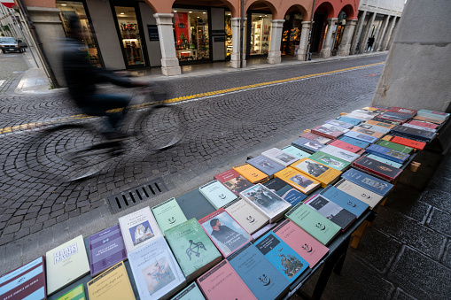 Udine, Friuli Venezia Giulia region, Italy. March 22 2019.   the sale of books on a sidewalk in the city