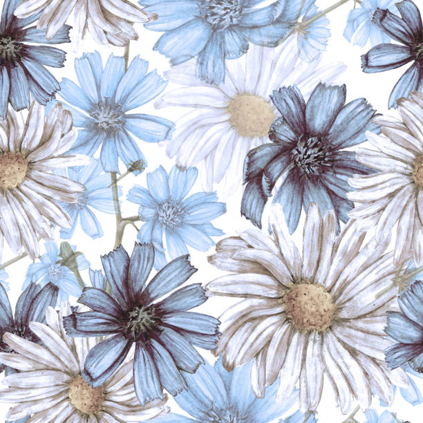 Seamless botanical pattern of garden wildflowers Seamless botanical pattern of garden wildflowers white background chicory isolated white stock illustrations