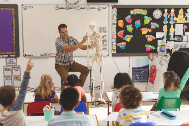 enseignant expliquant au sujet du squelette humain dans la salle de classe à l'école - anatomy classroom human skeleton student photos et images de collection