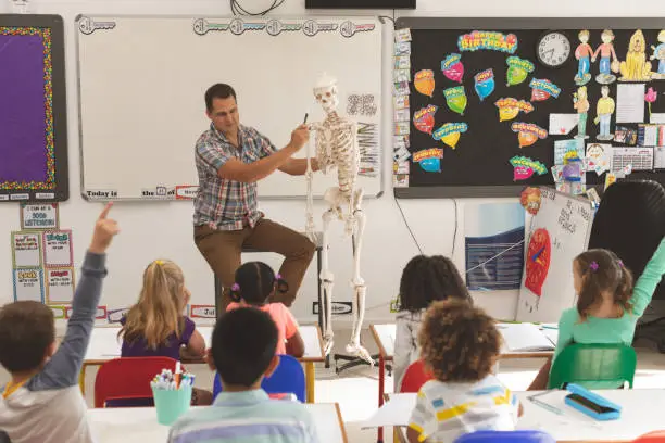 Photo of Teacher explaining about human skeleton in classroom at school