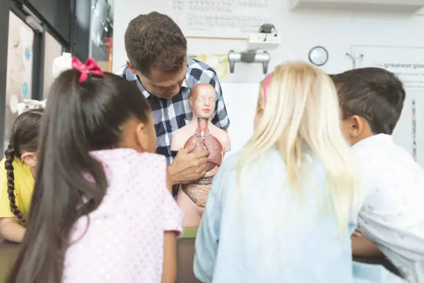 Photo of Rear view of school kids looking at a dummy skeleton presented by their teacher