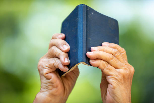 donna anziana che legge un piccolo libro di colori blu navy sullo sfondo del giardino bokeh, close up & macro shot, messa a fuoco selettiva, tempo di relax - arts symbols studio shot selective focus entertainment foto e immagini stock