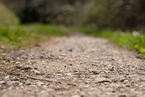 Close-up field track with pebbles and bokeh in background