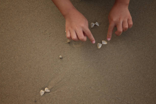 istock Blur the hand children collect shells at the beach. 1138360406
