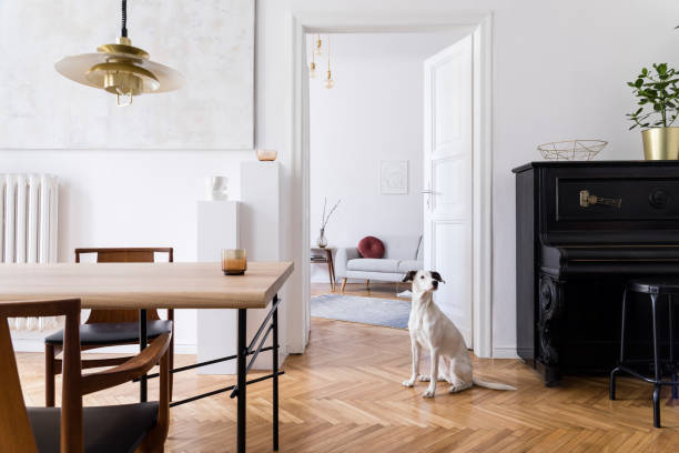 stylish scandi interior of home space with design wooden table, chairs, sofa and gold pendant lamp. living room with design accessories and piano. beautiful dog sitting on the parquet. elegant decor - piano interior imagens e fotografias de stock