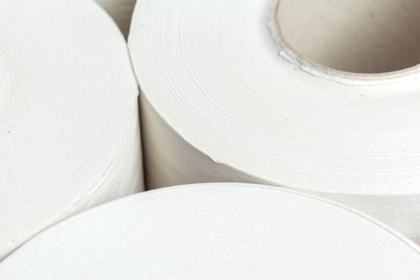 istock toilet paper on white background 1138364531