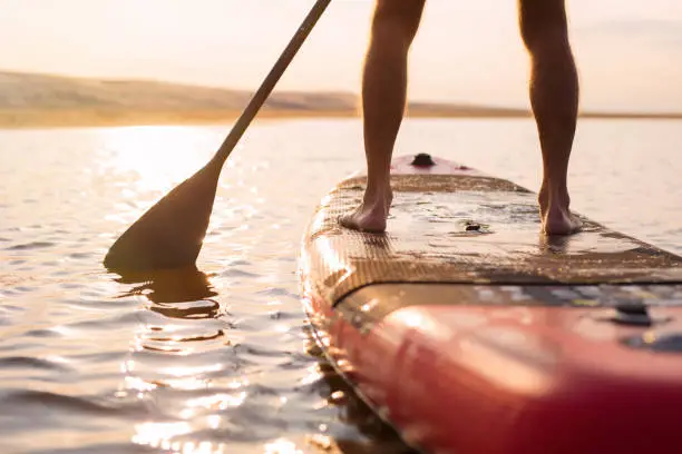 Unrecognizable man on paddle board at sunset