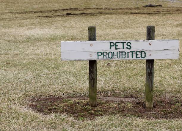 istock Old Wood Pet Prohibited Sign 1138365650