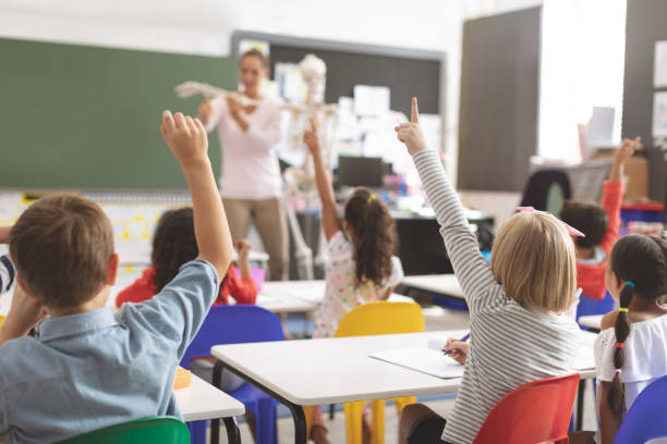 enfants d'école soulevant des mains tandis que l'enseignant expliquant le fonctionnement du squelette humain dans la salle de classe - anatomy classroom human skeleton student photos et images de collection