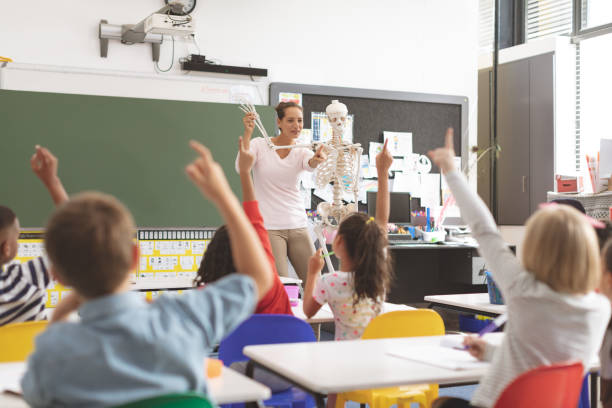 enseignant demandant au sujet du squelette humain dans la salle de classe tandis que les écoliers soulevant la main - anatomy classroom human skeleton student photos et images de collection