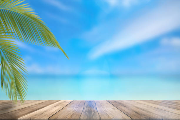 istock summer exotic concept, boards product display, montage and presentation 1138366945