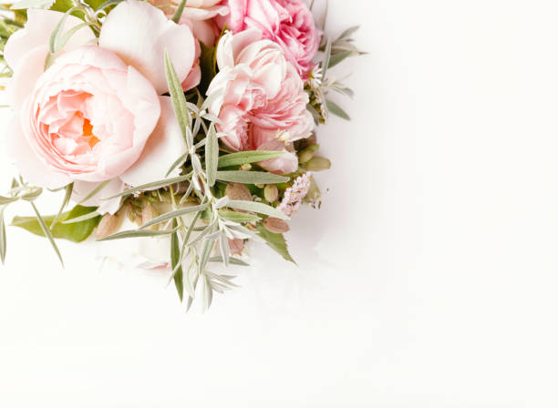 istock Festive flower composition on white background. Overhead top view, flat lay 1138367363