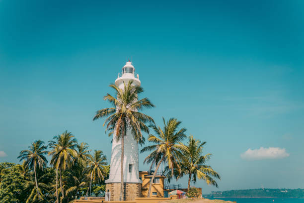 Galle Lighthouse surrounded by palm trees