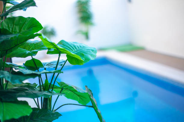 istock Swimming pool with stair and wooden deck at hotel. 1138369968