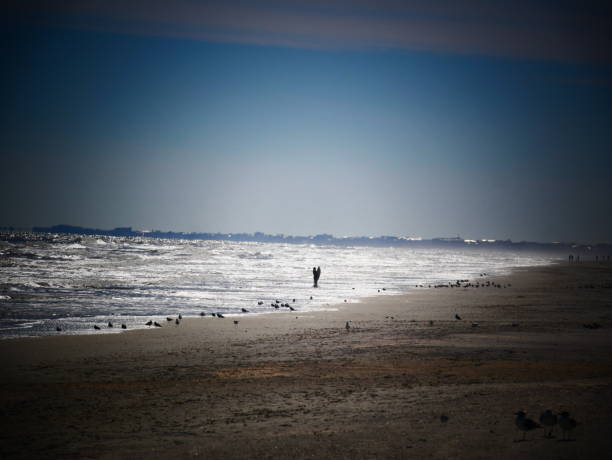 istock surfer water city beach 1138371516