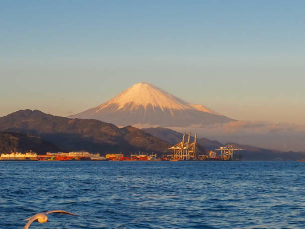 istock Seagull fly and Mt. Fuji background 1138372152