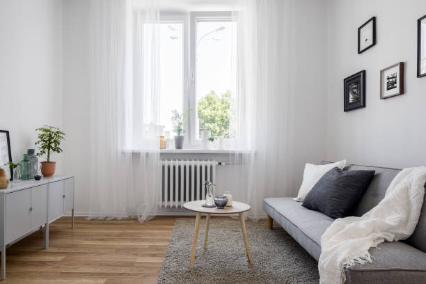 istock Living room with gray couch 1138372411