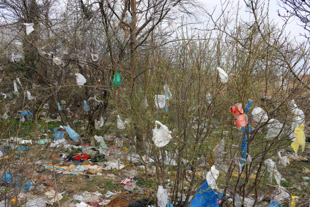 istock plastic bags on the branches of trees environmental pollution 1138374857