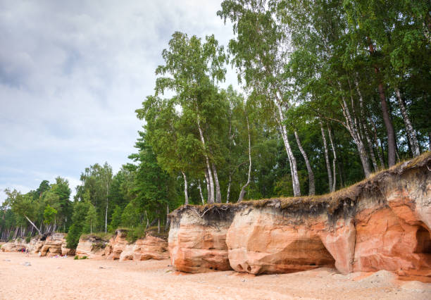 istock Baltic sea shore in Latvia 1138376882