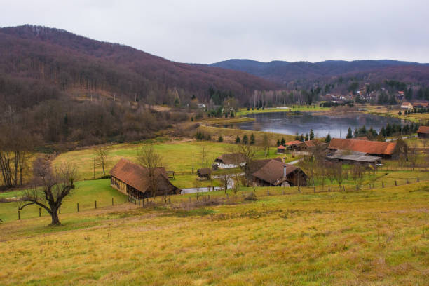 istock Winter Podgaric in Eastern Croatia 1138378355