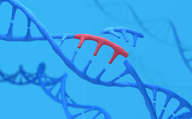 Genetic engineering Genetic engineering and gene manipulation concept, 3d rendering,conceptual image. editor stock pictures, royalty-free photos & images